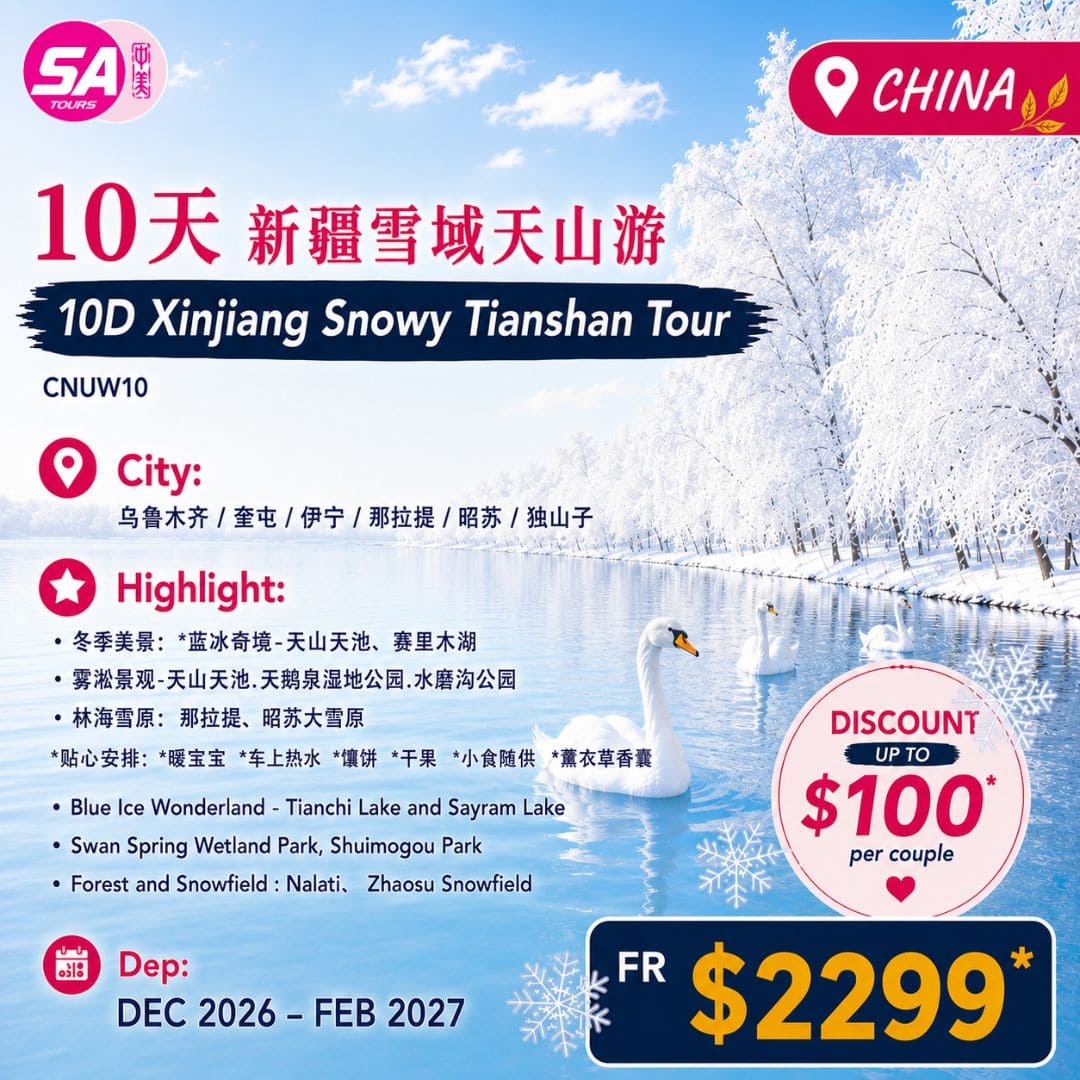SA Tours